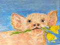 Pretty Pig