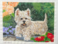 Mema's White Fluffy Puppy