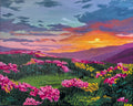 Beauty in the Valley