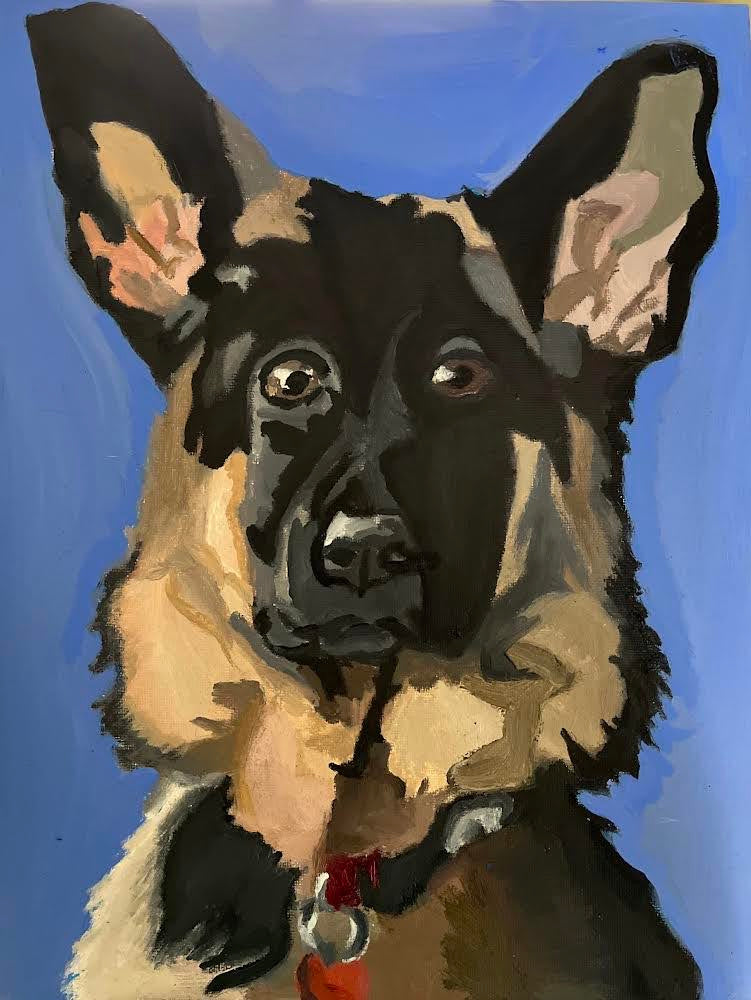 German Shepard on Guard